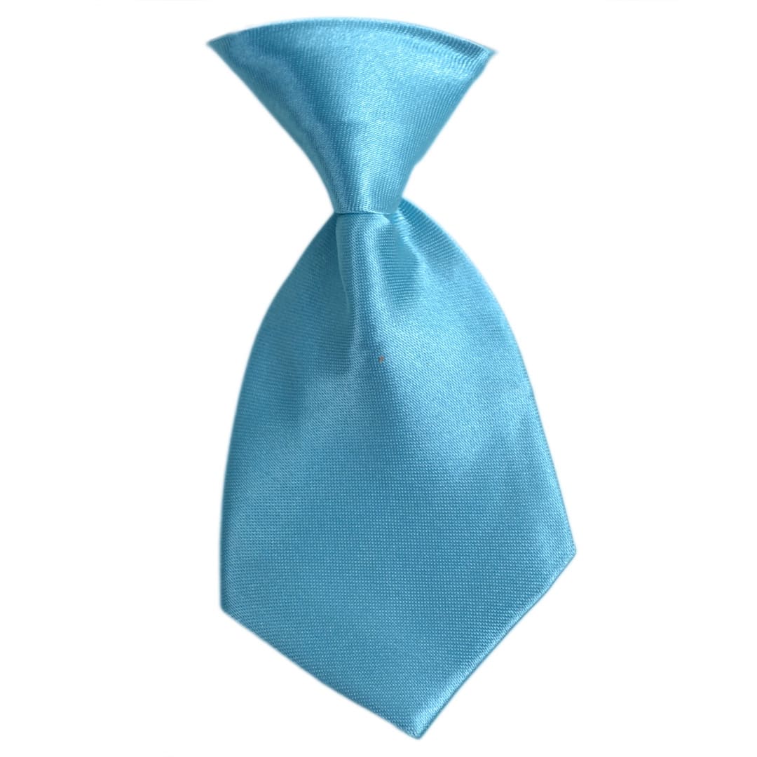 Corbata para perros en color aguamarina de GogiPet® 