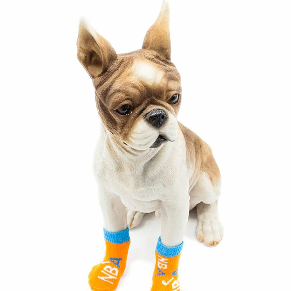 Calcetines antideslizantes para perros GogiPet, NBA naranja