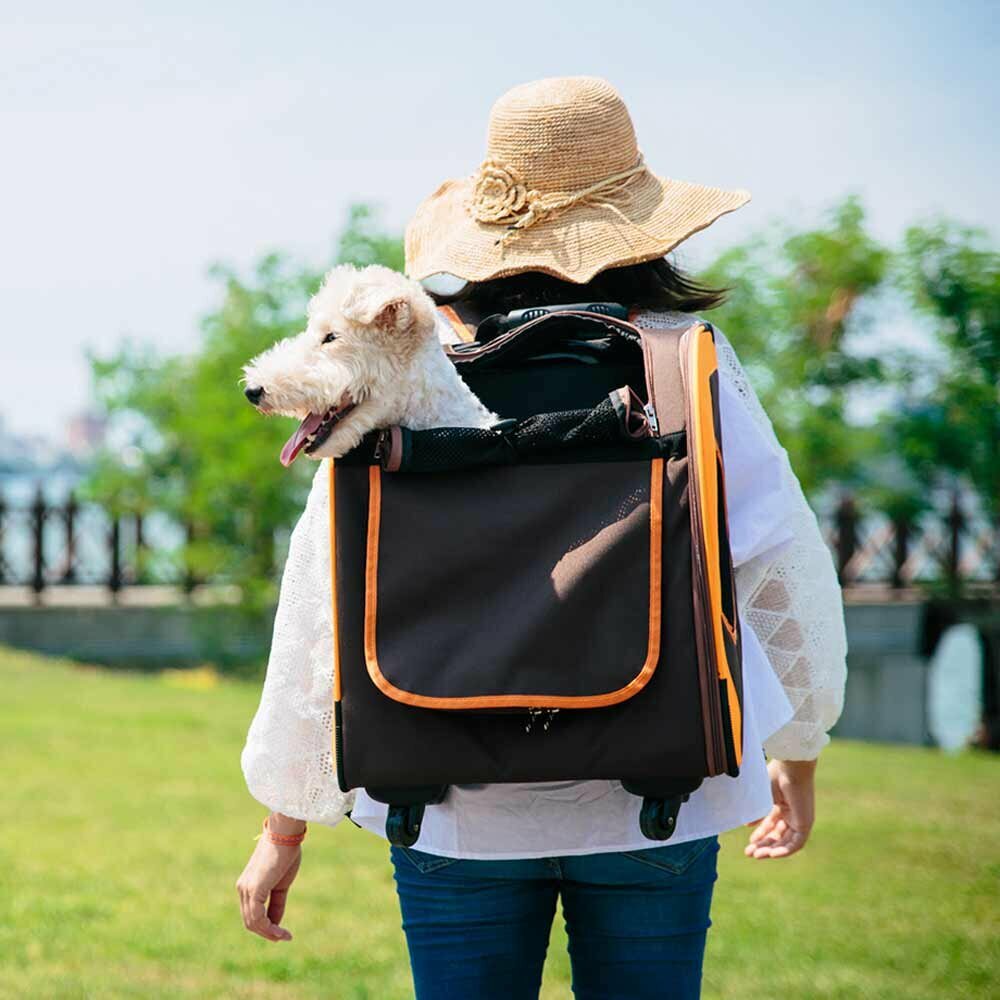 Mochila para perros para viajar con función de trolley