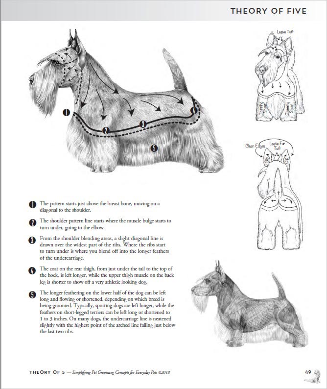 Práctico libro para el cuidado de perros dirigido a peluqueros caninos
