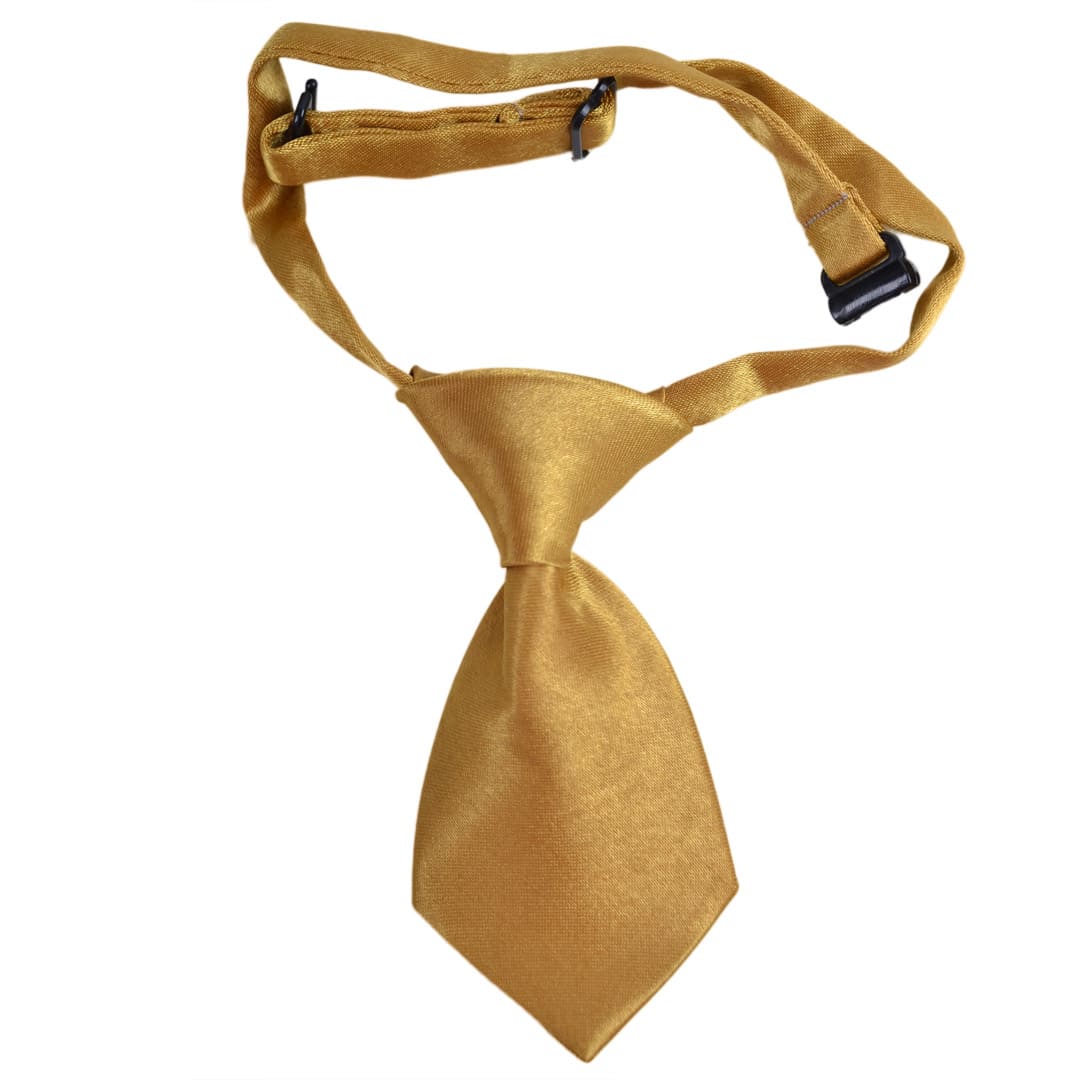 Corbata para perros en color dorado de GogiPet®
