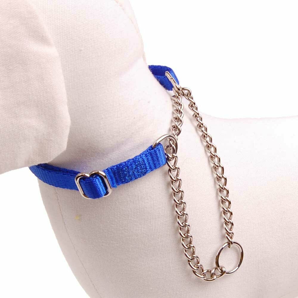 Collar para perros de nylon resistente azul eléctrico, ajustable - con cadena.