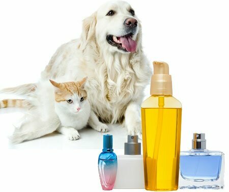 Perfume para perros y perfume para gatos