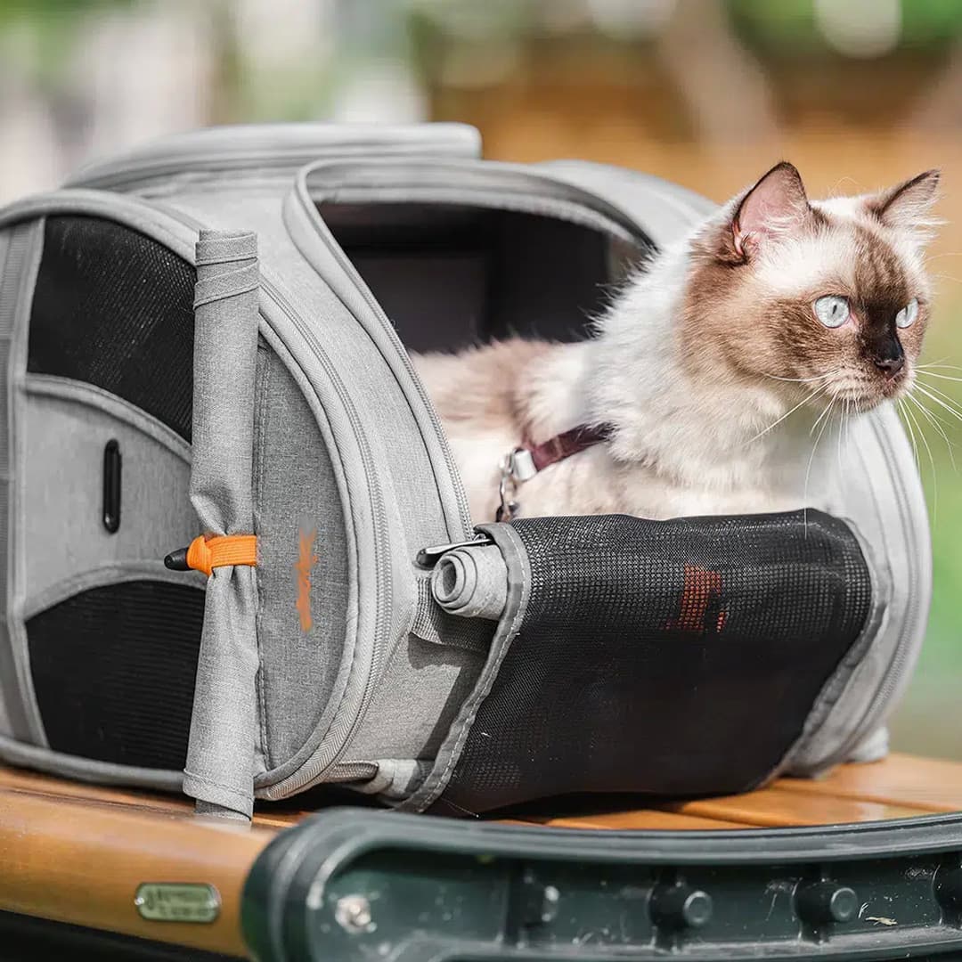 Mochila de transporte para gatos Delux