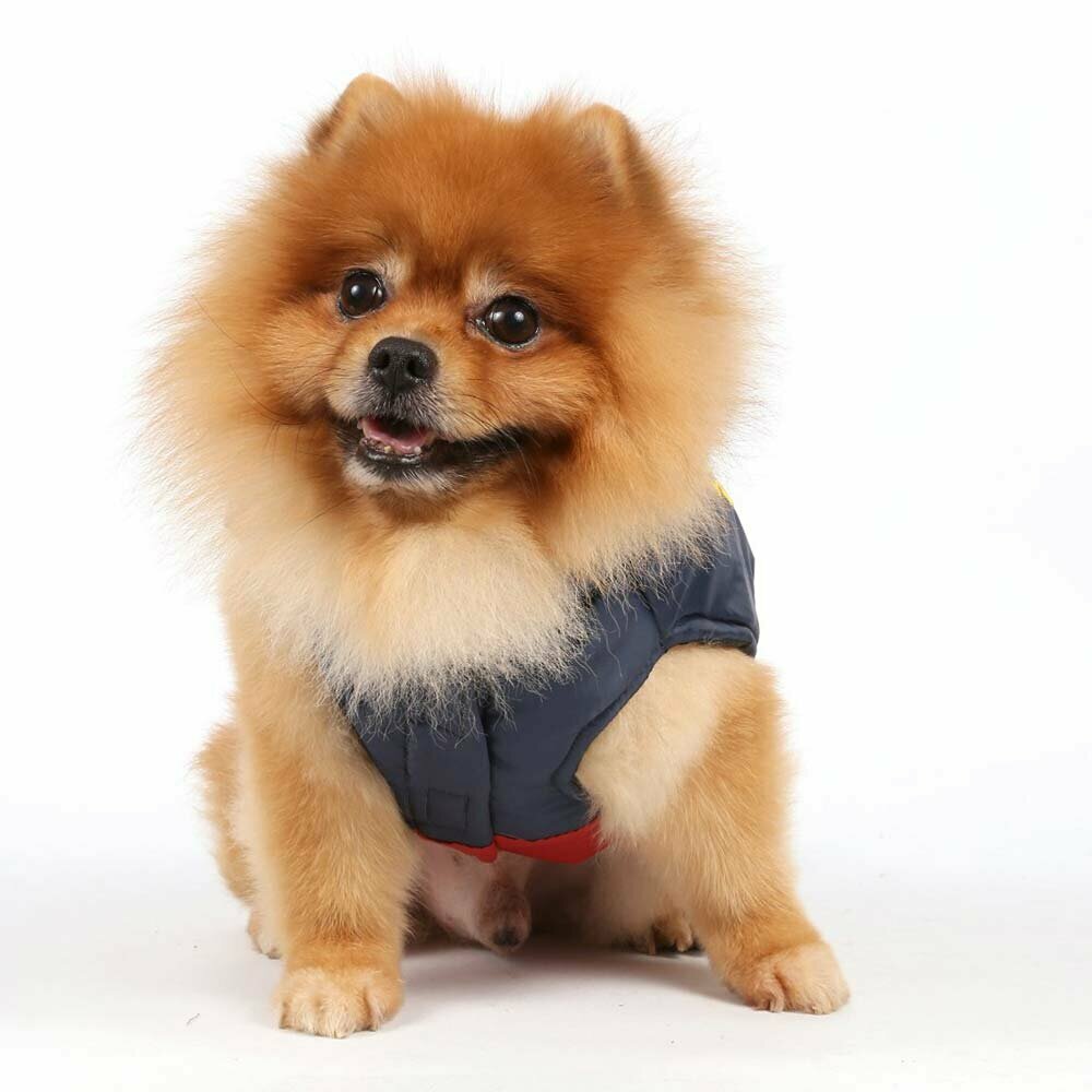 Ropa de abrigo para perros de DoggyDolly W049 - Moda para perros
