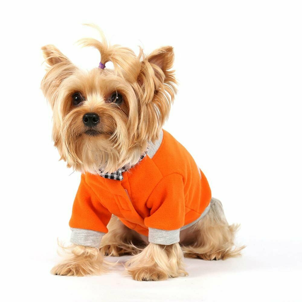 Traje de abrigo para perros naranja de DoggyDolly W304