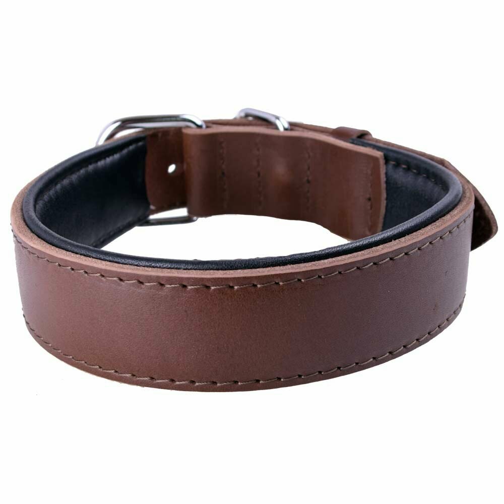 Collar de perro marrón con 2 capas de cuero de GogiPet®.