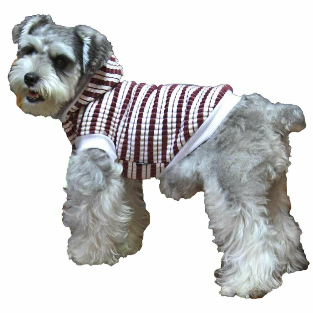 Suéter de punto para perros "Gala" con capucha, rojo-blanco