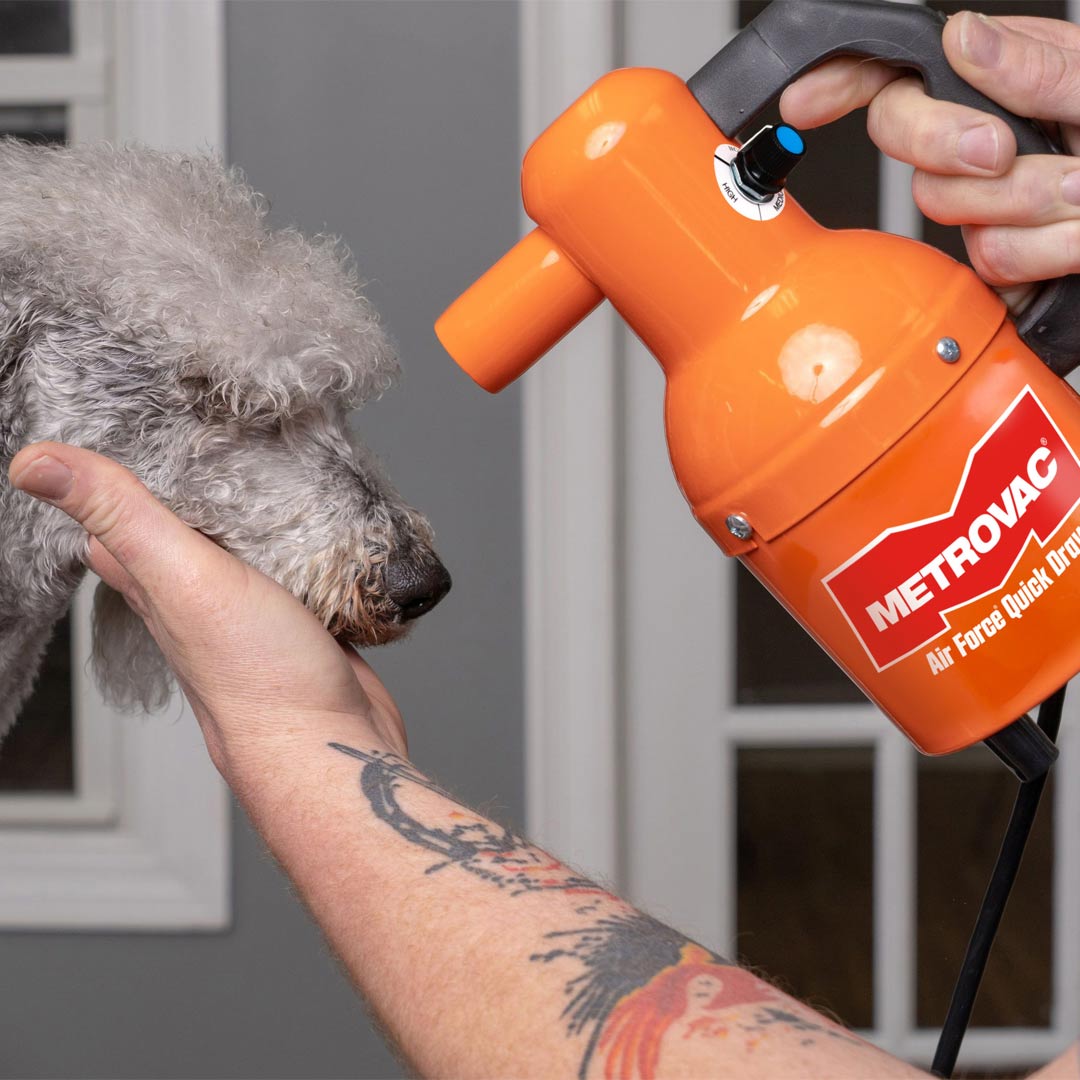 Pequeño y práctico secador profesional para perros de Metro con velocidad ajustable