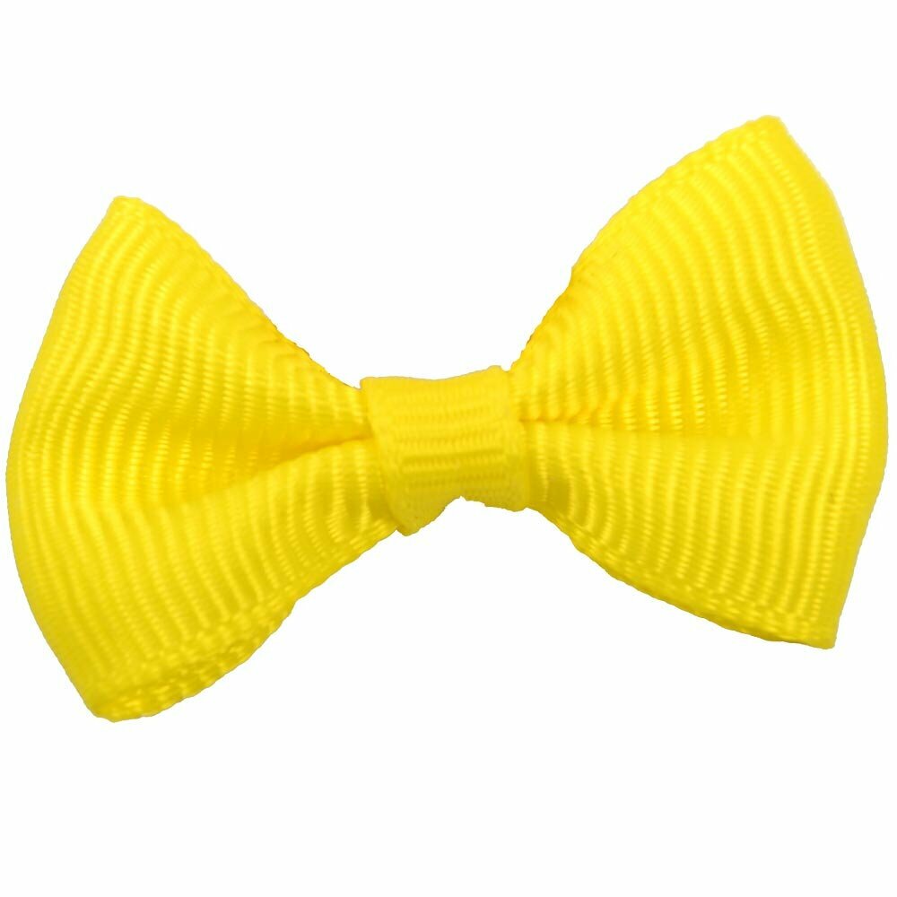 Lazo para el pelo de perros con goma elástica de GogiPet, en color amarillo - Modelo Estela