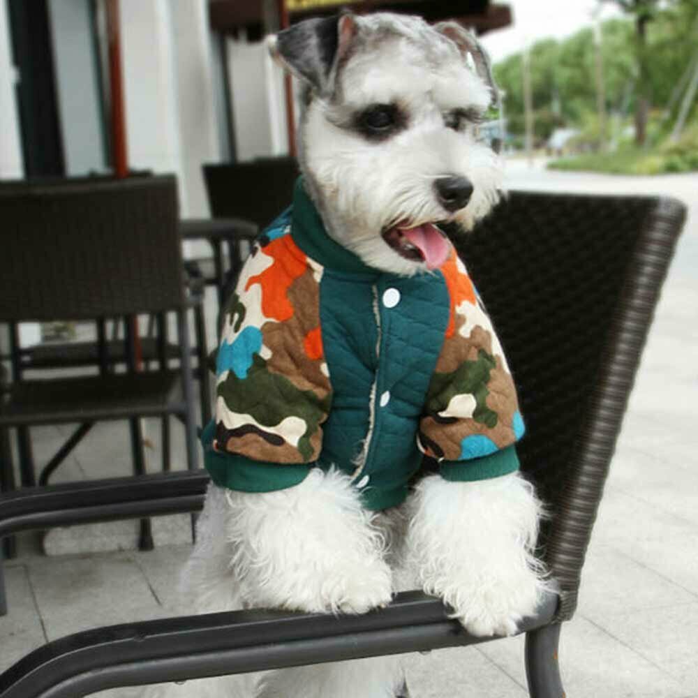 Chaqueta acolchada y deportiva de algodón para perros GogiPet, verde