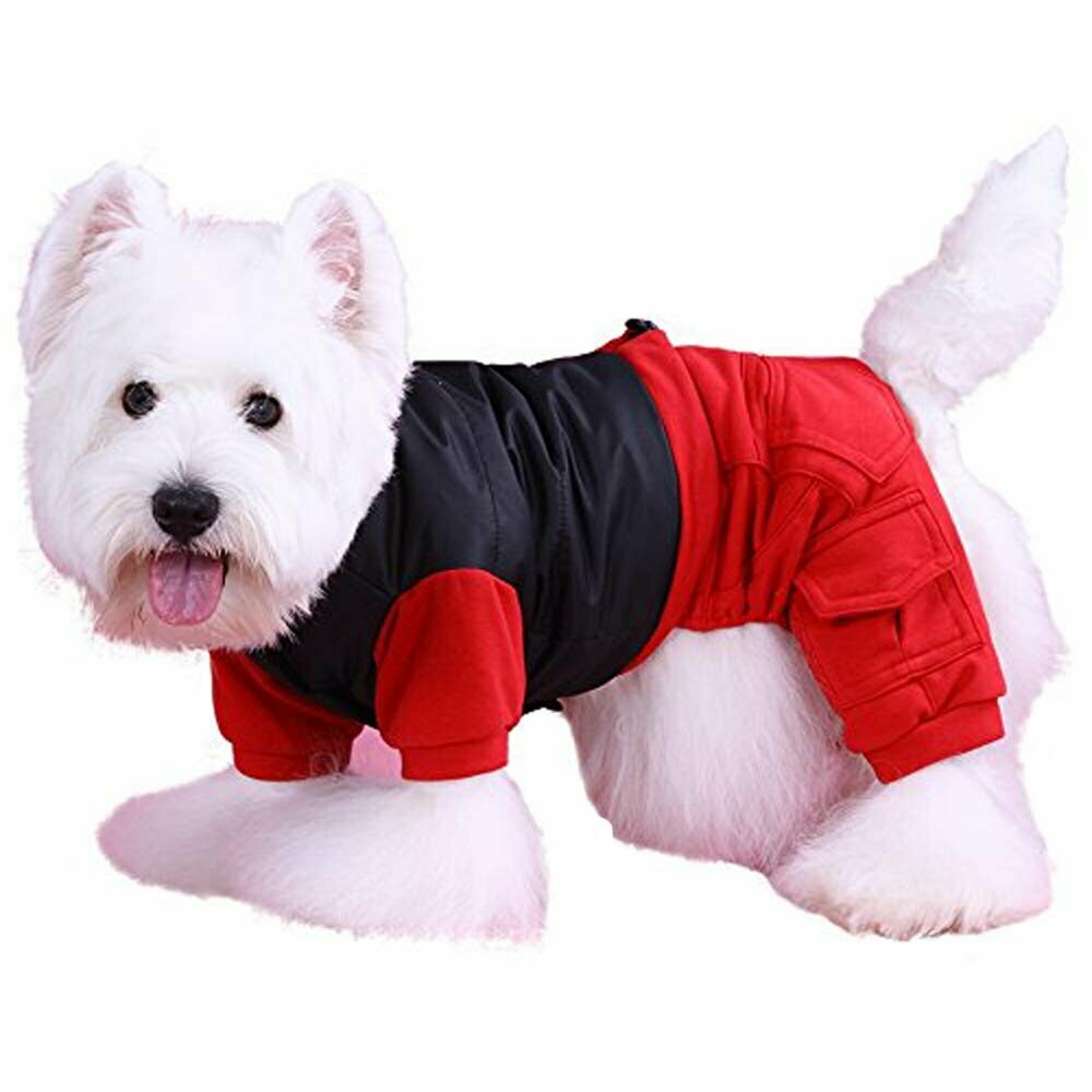 Ropa de abrigo para perros de la firma DoggyDolly Moda Canina