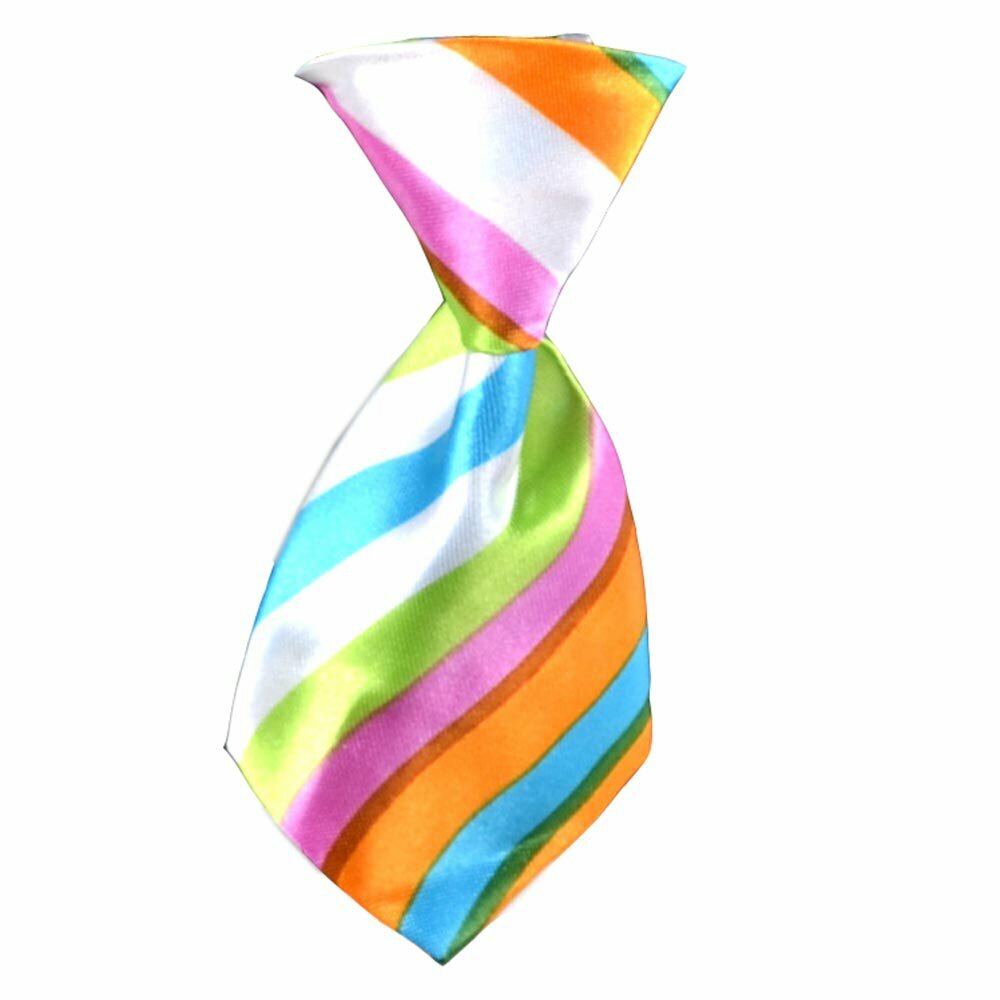 Corbata para perros con rayas de colores modelo "Elliot"