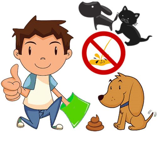 Eliminador de orina, pañales para mascotas y bolsas para cacas