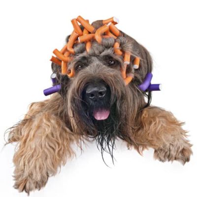 Material para peluquerías caninas - Equipamiento para peluquerías caninas