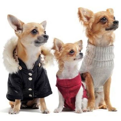 Warme Hundebekleidung