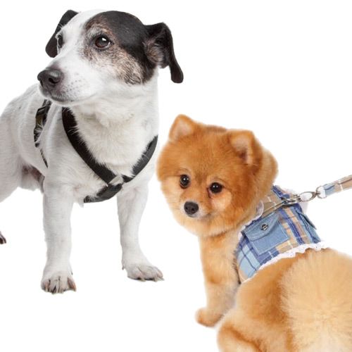 Arneses pectorales blandos y arneses textiles para perros